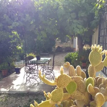 Cortijo El Cosio *
